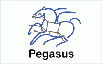  Pegasus ACCESS Logo